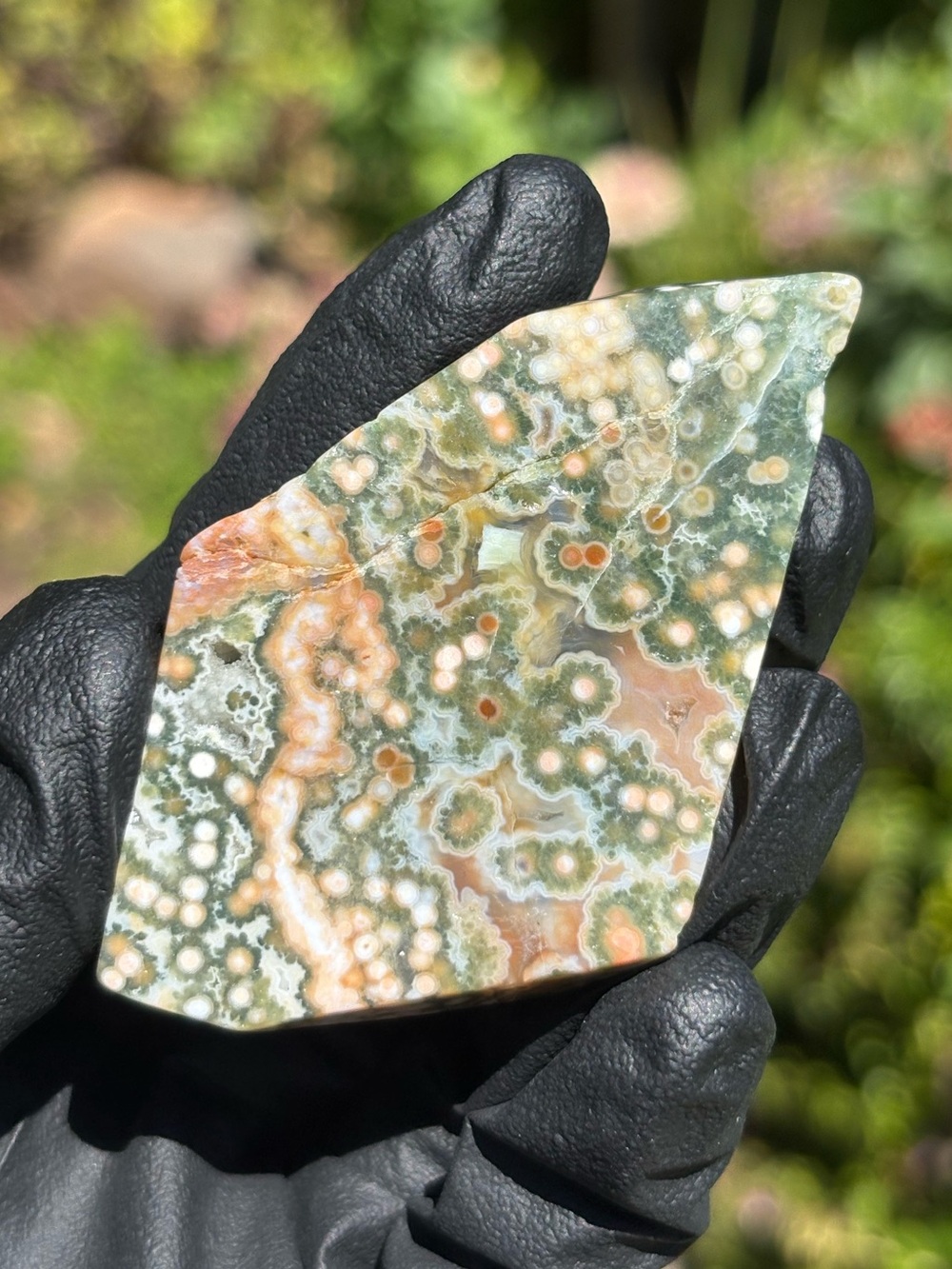 Ocean Jasper Crystal Freeform - Sea Jasper - Polished Orbicular Jasper - Green